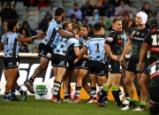 开云体育入口-乌迪内斯主场击败帕尔马，获得三分