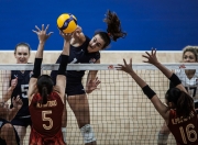 开云平台-巴西女子排球出色发挥，夺得冠军