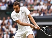 开云下载-澳网轻取戴维斯杯，梅德韦杰夫刷新纪录的简单介绍