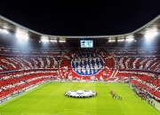 开云官方app入口-阿尔瓦雷斯存在感拉满，荷兰争冠战惊险战胜厄瓜多尔