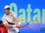 开云体育平台APP-意大利网球队绝杀世界网球队，穆雷关键制胜的简单介绍