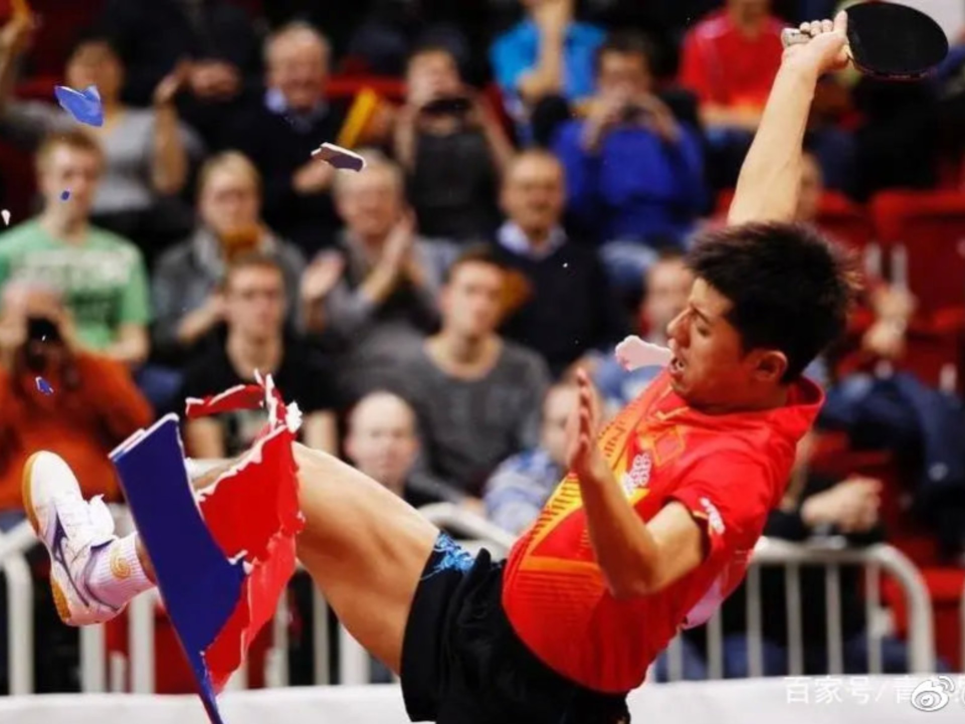 包含波兰乒乓球队血洗日本乒乓球队,张继科绝境逆转的词条 包含波兰乒乓球队血洗日本乒乓球队,张继科绝境逆转的词条