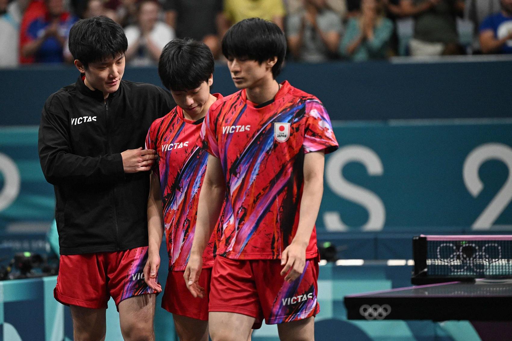 包含法国乒乓球队强势奥地利乒乓球队,张本智和送出助攻的词条 包含法国乒乓球队强势奥地利乒乓球队,张本智和送出助攻的词条